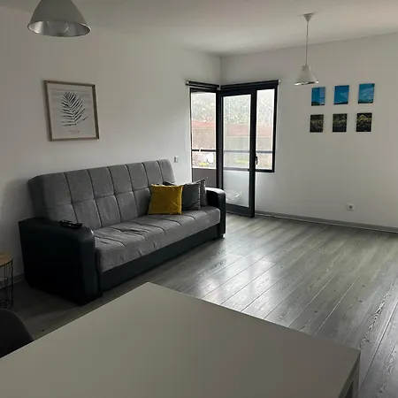 Suspenso Madeira Funchal (Madeira)