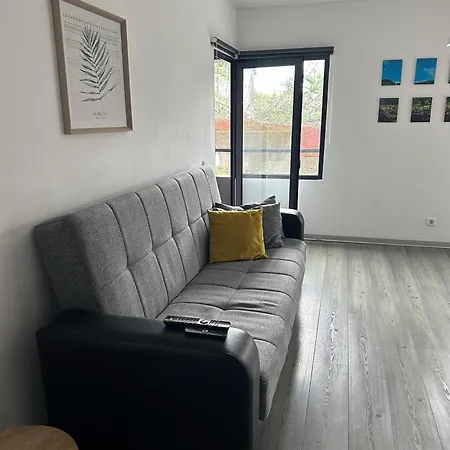 Suspenso Madeira Funchal (Madeira)